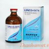 Lincogen