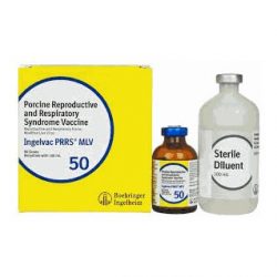 Ingelvac Prrsmlv Swine Vaccine Modified Live Virus 500ml Boehringer Ingelheim 115903 14